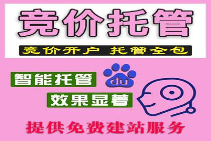 百度竞价托管助力电商销售增长